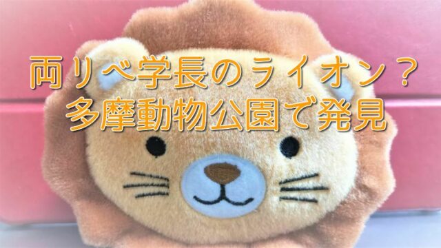 こんなところに学長が 多摩動物公園で買ったお土産の中に 両ライオン かもねむ堂のブログ