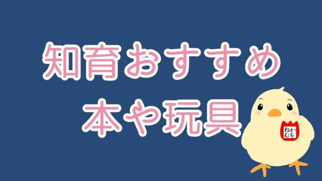 かもねむ堂のブログ_知育